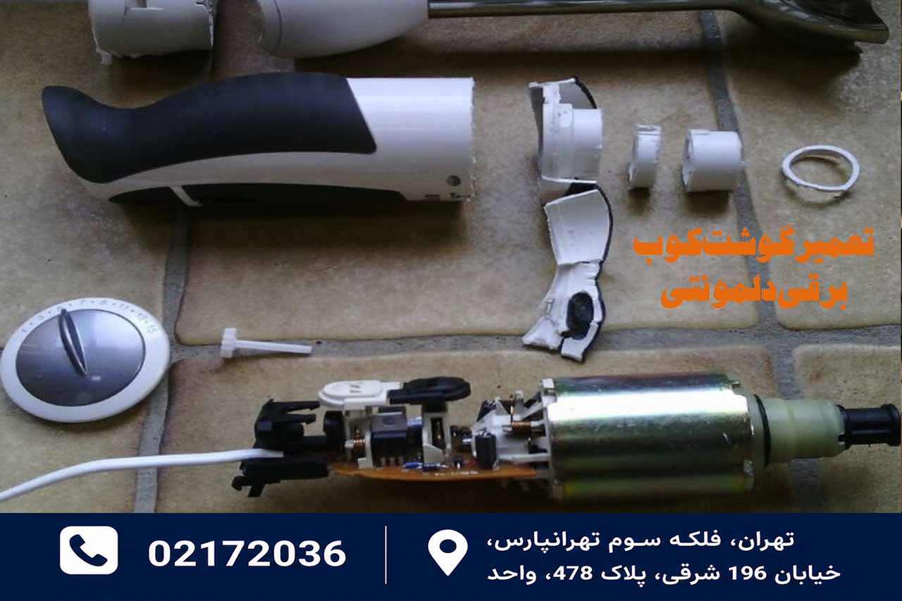 تعمیر گوشت‌کوب برقی دلمونتی